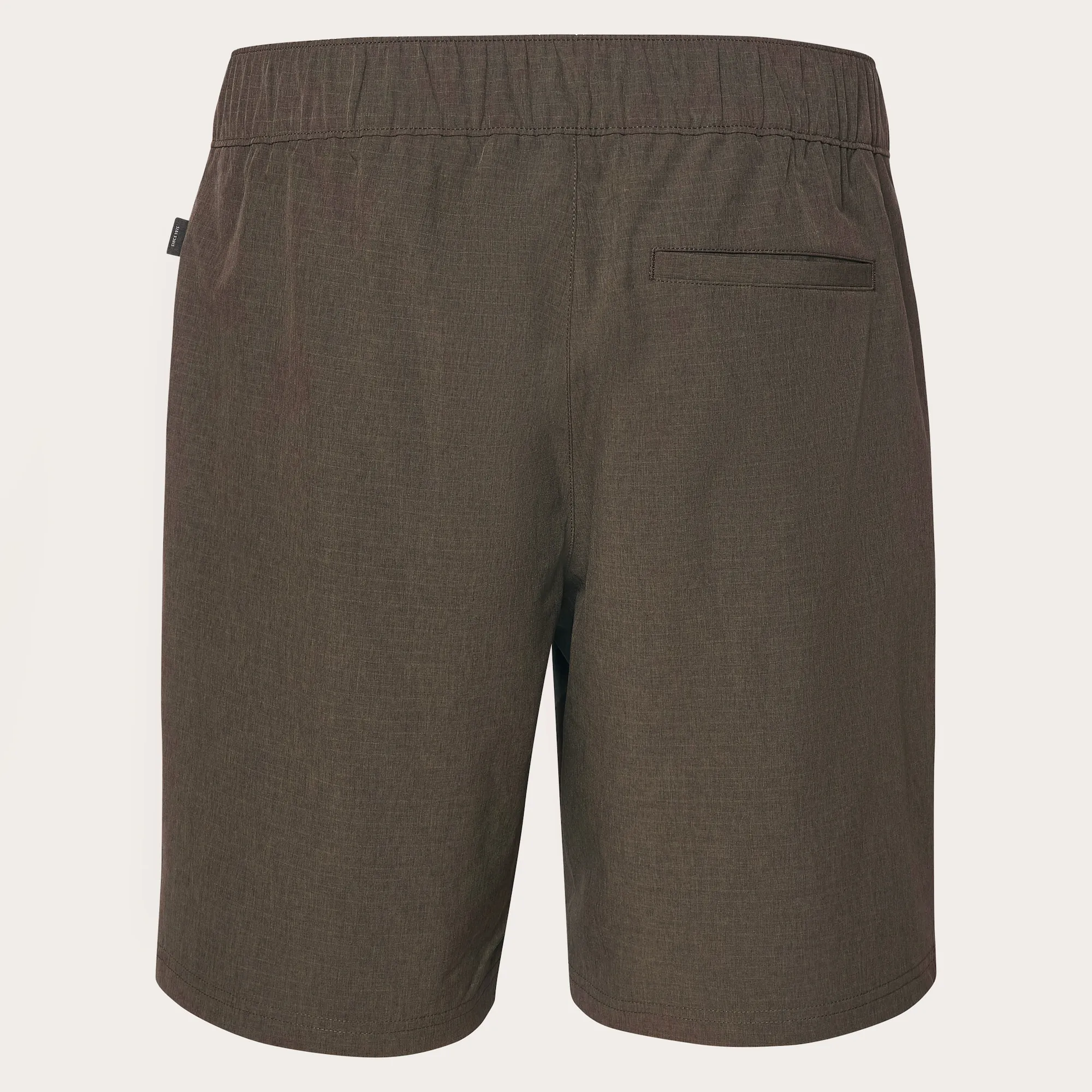 Adventure Chino Shorts