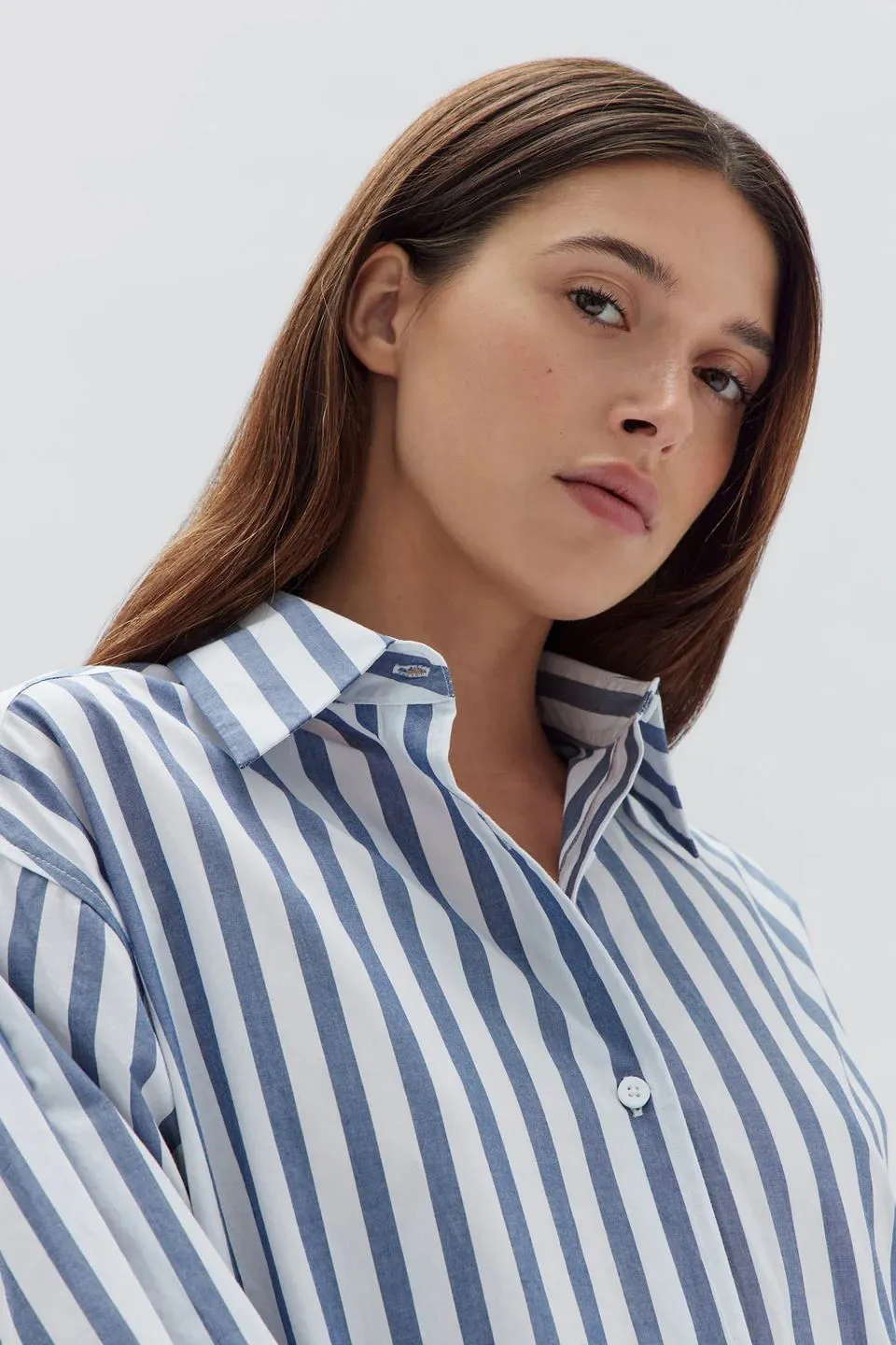 Assembly Label Marie Poplin Shirt Dress - Royal Stripe