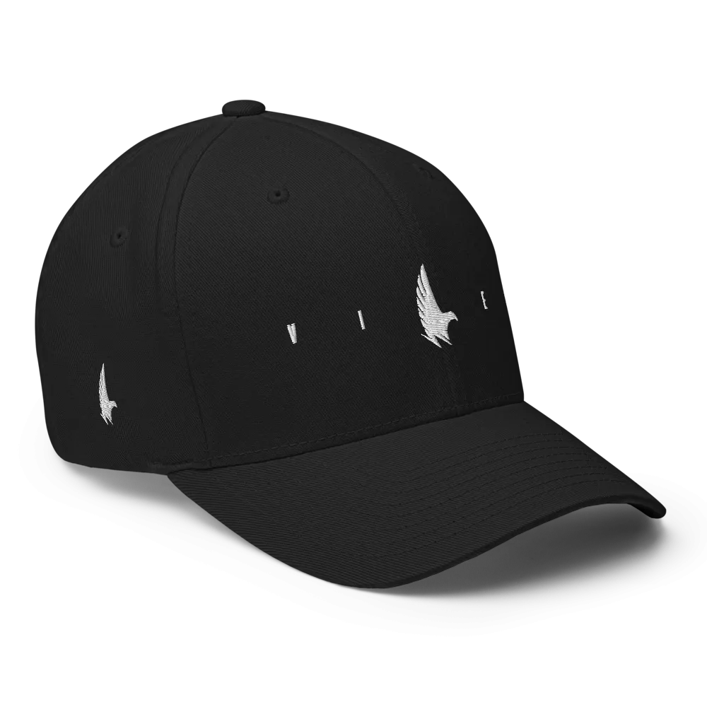 Flex Logo Fitted Hat