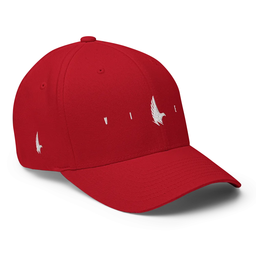 Flex Logo Fitted Hat