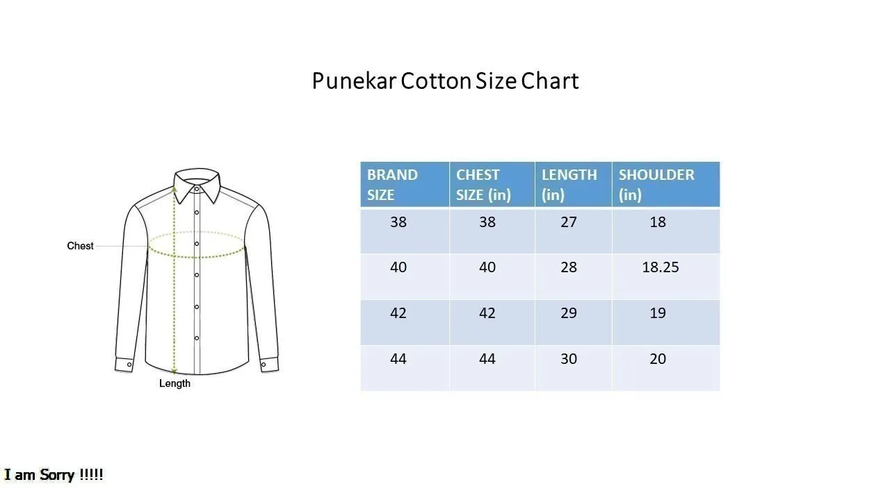 Punekar Cotton Printed Grey Color Pure Cotton Handmade Shirt For Men's.